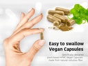 dr-wakdes-cardamom-capsules-60-veg-caps--6.jpg