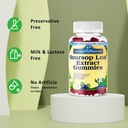 sugar-free-soursop-gummies-with-probioti-6.jpg