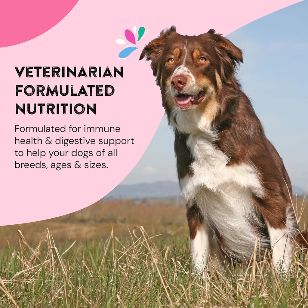 hip-joint-supplements-for-dogs-helps-joi-6.jpg