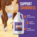 sure-champ-joint-juice---joint-support-s-4.jpg