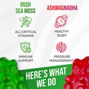 irish-sea-moss-ashwagandha-gummies---ash-3.jpg