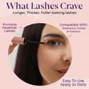 glamlash-eye-lash-growth-serum-rapid-las-3.jpg