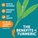 zyn-turmeric-wellness-drink-6-pack-lemon-3.jpg