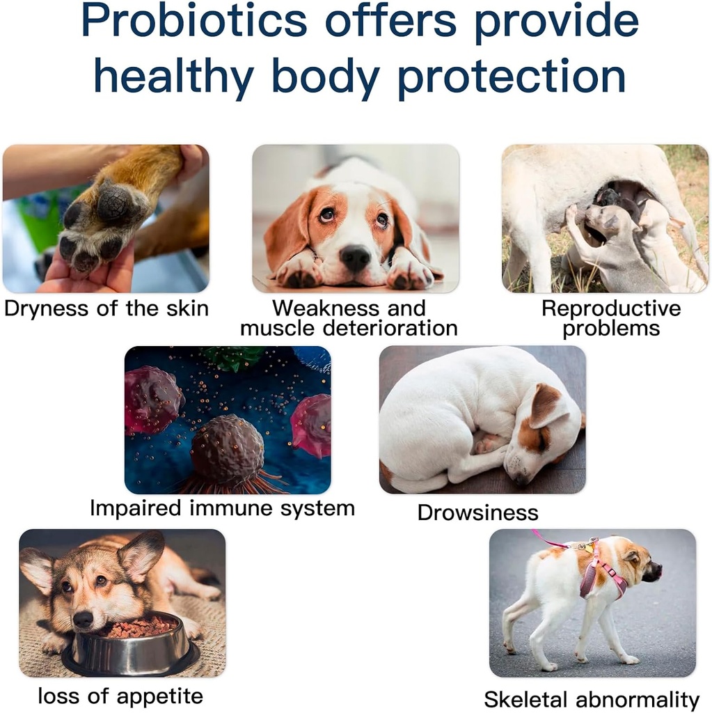probiotics-for-dogs-dog-probiotic-chews--5.jpg