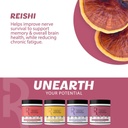 silver-star-nutrition-roots-focus-nootro-6.jpg