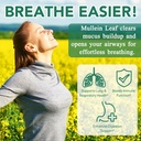 mullein-gummies-for-lung-cleansenatural--6.jpg