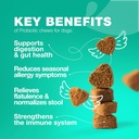 probiotics-for-dogs---support-gut-health-3.jpg