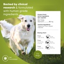 rooted-owl-liver-support-for-dogs---natu-4.jpg