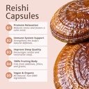 magic-dozeTM-reishi-mushroom-supplement--3.jpg