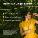 north-american-herb-and-spice-gingerol-o-2.jpg