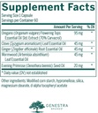 genestra-brands-intestibal-with-essentia-2.jpg