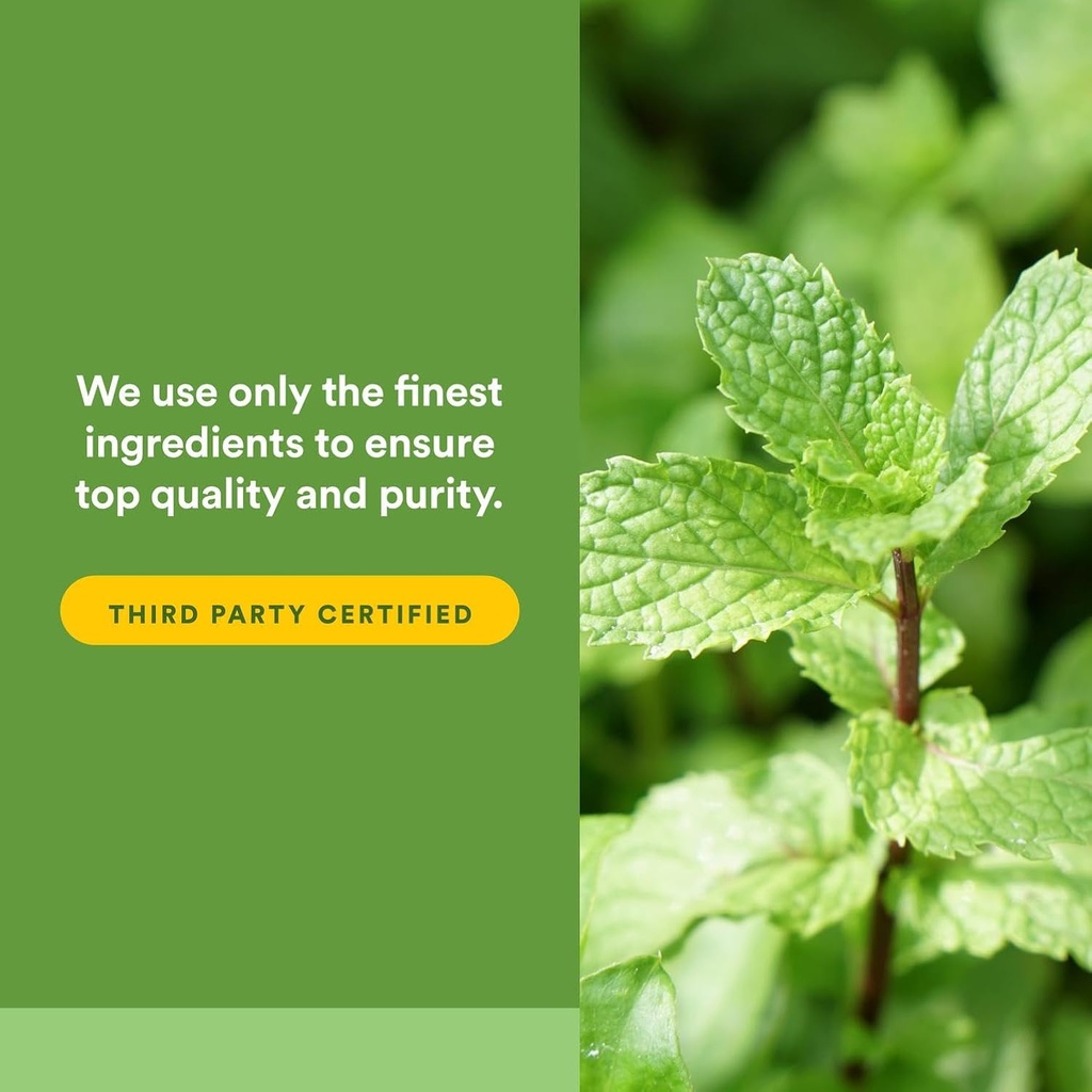 natural-factors-peppermint-oregano-oil-c-5.jpg