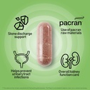 nanowell-k-cleanse---kidney-cleanse-supp-2.jpg