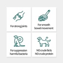 probiotics-for-dogs-and-cats-gut-health--3.jpg