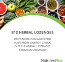 natures-plus-b12-herbal-lozenges-methylc-3.jpg