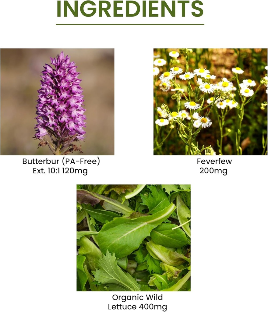 green-organic-supplements-butterbur-feve-3.jpg