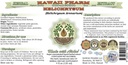 helichrysum-alcohol-free-liquid-extract--2.jpg
