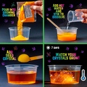 original-stationery-dinosaur-crystal-gro-2.jpg