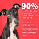 liquid-for-dogs-and-cats-high-potency-om-4.jpg