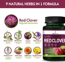 red-clover-blossoms-herb-hormone-harmony-4.jpg