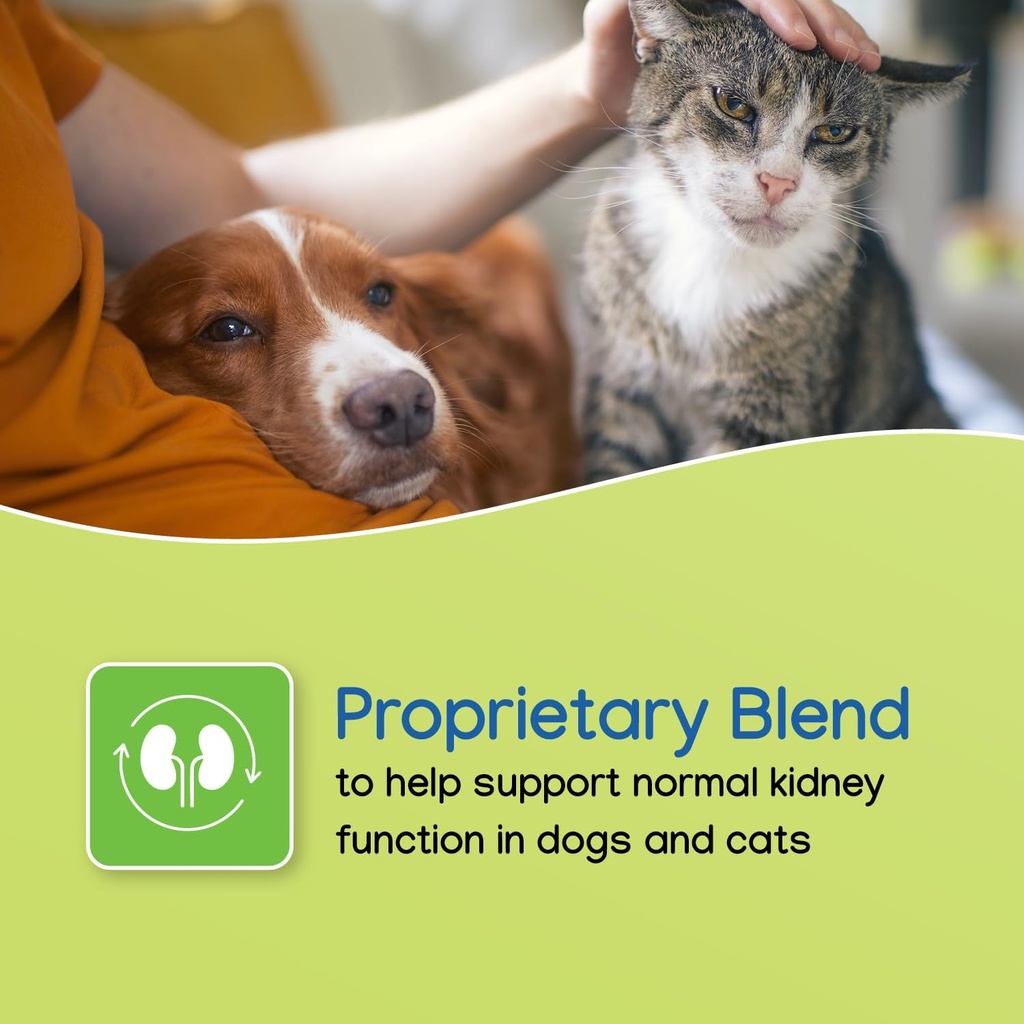 nephrodyl-synbiotic-capsules---kidney-su-2.jpg