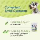 nephrodyl-synbiotic-capsules---kidney-su-6.jpg