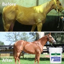 stance-equitec-gastrobuf---normal-stomac-5.jpg