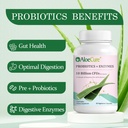 aloecure-daily-probiotics-10-billion-cfu-2.jpg