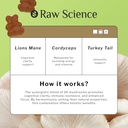 mushrooms-complex-gummies-with-lions-man-3.jpg