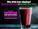biotest-superfood---berry-dense-polyphen-3.jpg