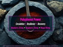 biotest-superfood---berry-dense-polyphen-4.jpg