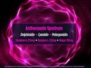 biotest-superfood---berry-dense-polyphen-5.jpg