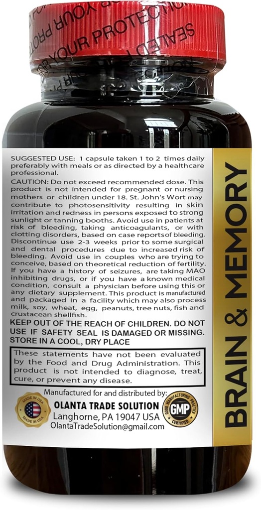 brain-memory-supplements---brain-support-2.jpg