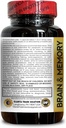 brain-memory-supplements---brain-support-2.jpg