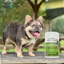 dr-orchards-fertility-pro-for-dogs---vet-6.jpg