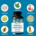 organic-veda-papaya-leaf-plus-supplement-3.jpg