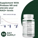 probase-nutrition-nmn-alternative-nr-sup-6.jpg