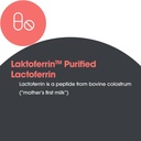 allergy-research-group-laktoferrin-suppl-5.jpg