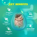 gutoptim-vitamin-advanced-formula-capsul-4.jpg