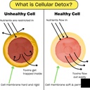 human-improvement-performance-protein-ch-5.jpg