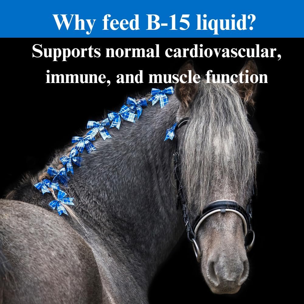su-per-b-15-vitamin-supplement-for-horse-4.jpg