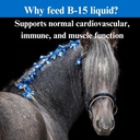 su-per-b-15-vitamin-supplement-for-horse-4.jpg