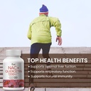 vhc-nac-supplementacetyl-l-carnitine1200-3.jpg