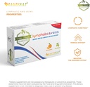dr-matteo-bertellis-lymphaticveins-30-ta-5.jpg