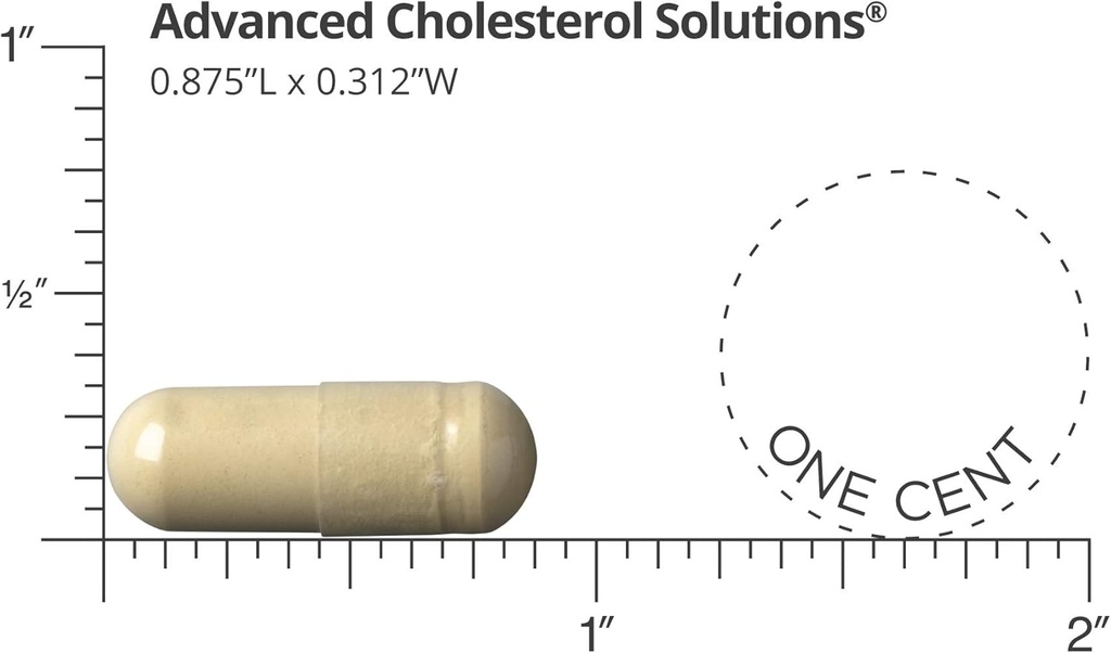 dr-sinatra-advanced-cholesterol-solution-3.jpg