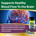 america-medic-science-cavintona-10mg-bra-3.jpg