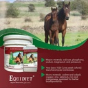 cvm---horse-vitamins---vitamin-e-supplem-6.jpg
