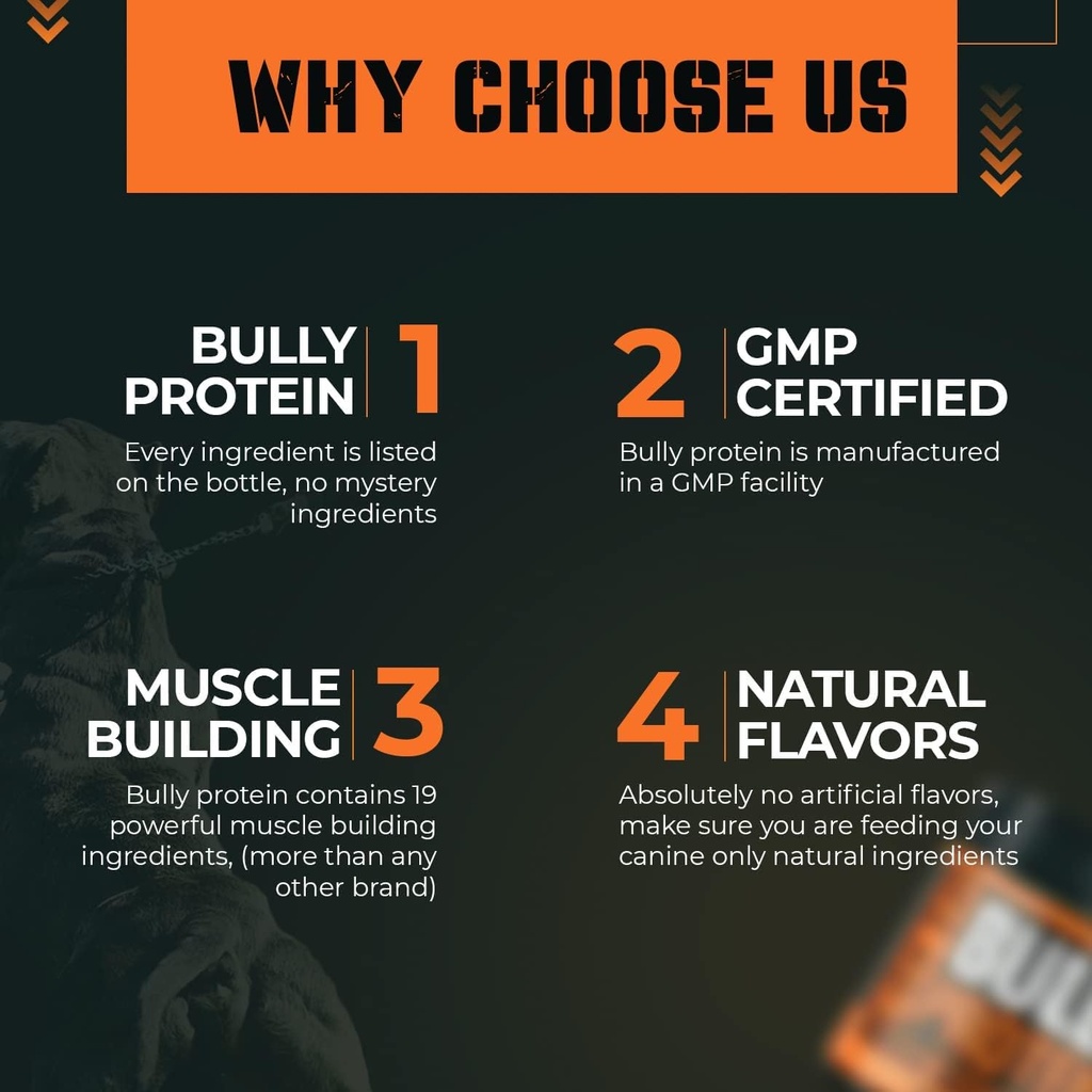 bully-protein-vitamins-for-dogs-with-toy-6.jpg