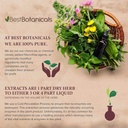 best-botanicals-chickweed-herb-powder-16-5.jpg