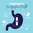 bio360-probiotics-bundle-cognitive-suppo-5.jpg
